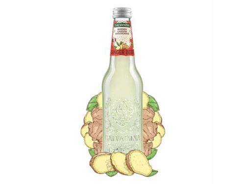 GALVANINA ØKOLOGISK SODAVAND, GINGER BEER